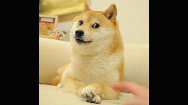 pg電子游戲麻將胡了免費版